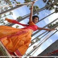 Amala Paul - Vettai Movie New Stills